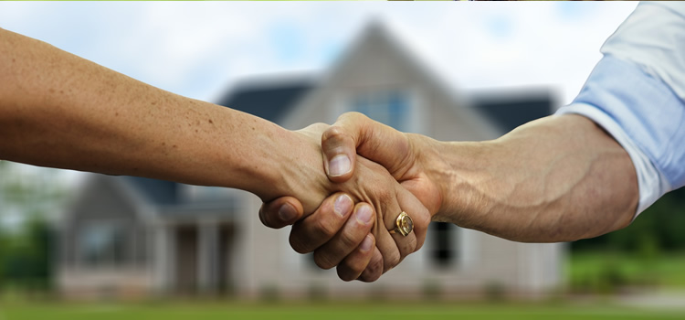 Real Estate Litigation